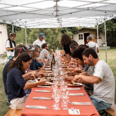 Nappe Terracotta rectangulaire 140 X 250 cm 100 % Polyester