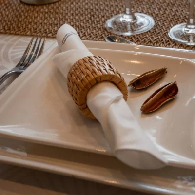 Serviettes de table Celytiss Blanche  40 X 40 cm