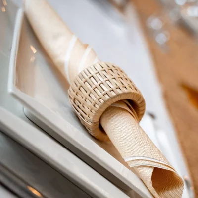 Serviettes de table Celytiss Chataigne 40 X 40 cm