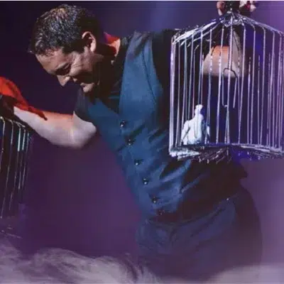 Artiste Magicien / Mentaliste